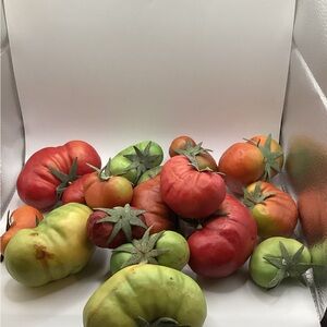 Realistic Faux Vibrant Tomato Home Accent Set